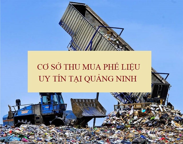 Thu mua phế liệu tại Quảng Ninh tận nơi giá cao: Báo giá chi tiết 2025