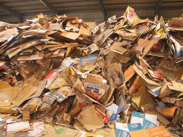 Cơ sở thu mua phế liệu Thanh Hóa giá cao: Bảng giá 19/01/2026