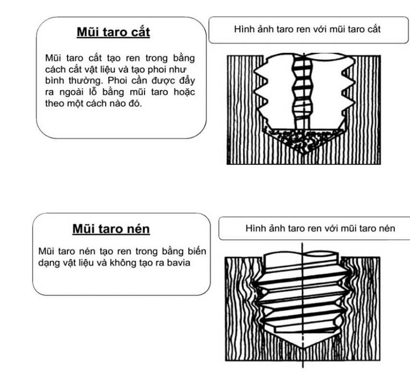 Mỗi loại mũi taro đều có đặc điểm khác nhau 